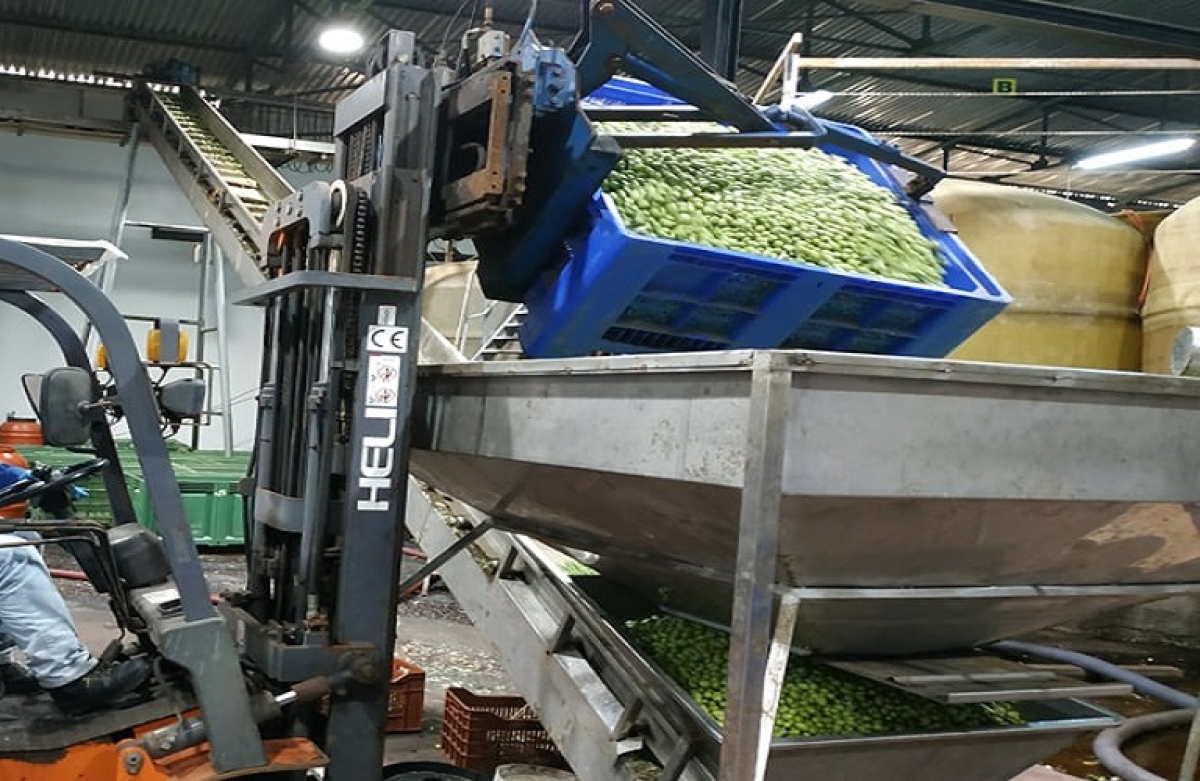 Προσκλήσεις ΟΕΦ οργάνωσης παραγωγών Α. Σ. Ένωση Αγρινίου