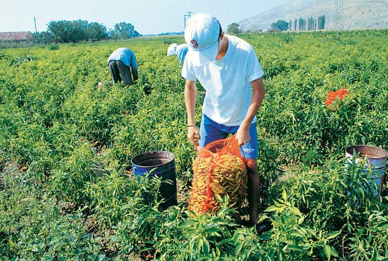 Ενημερωτική εκδήλωση για την παρουσίαση των Σχεδίων Βελτίωσης  του Προγράμματος Αγροτικής Ανάπτυξης 2014-2020