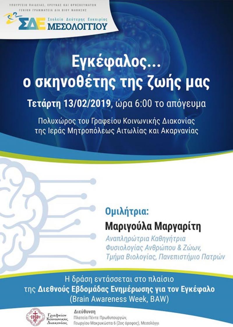 «Εγκέφαλος… ο σκηνοθέτης της ζωής μας» από το Σχολείο Δεύτερης Ευκαιρίας Μεσολογγίου (Τετ 13/2/2019 18:00)
