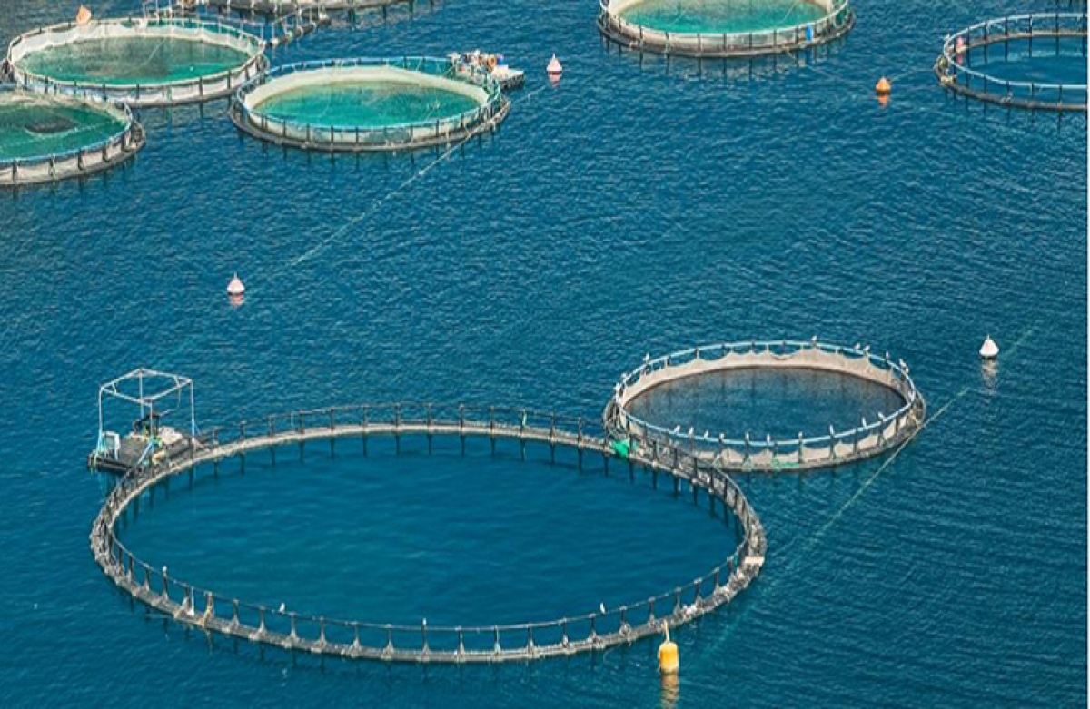 Την Τρίτη 30 Αυγούστου η τελική εκδήλωση του ARIELPLUS