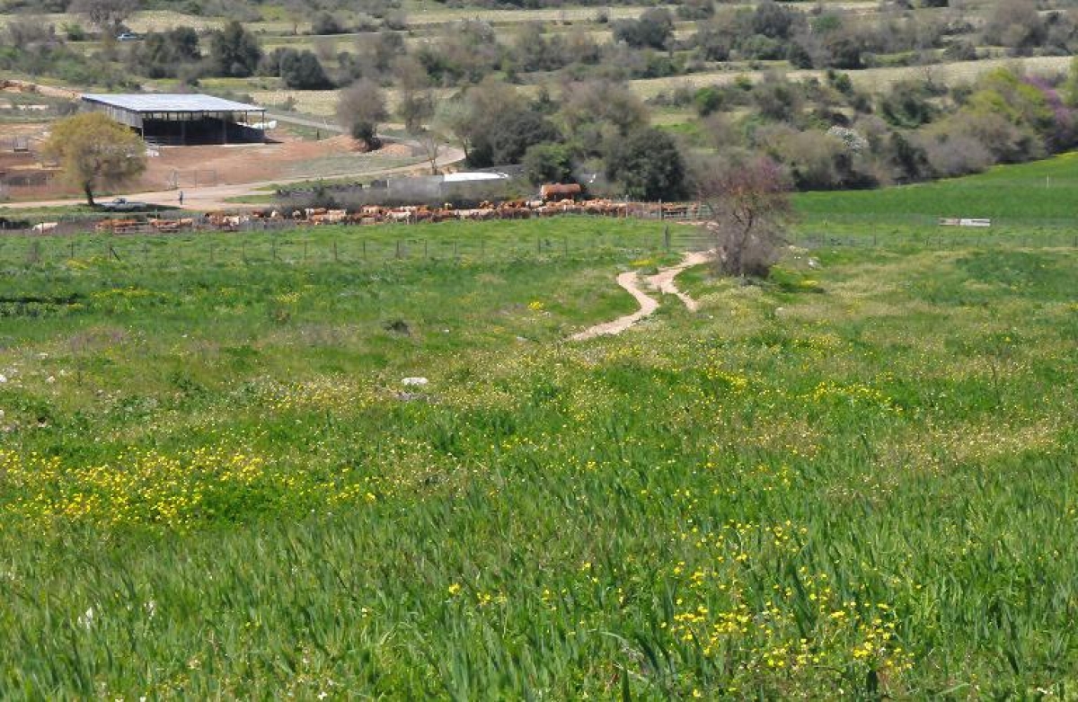 Εφαρμογή παρεκκλίσεων από το «πρασίνισμα»