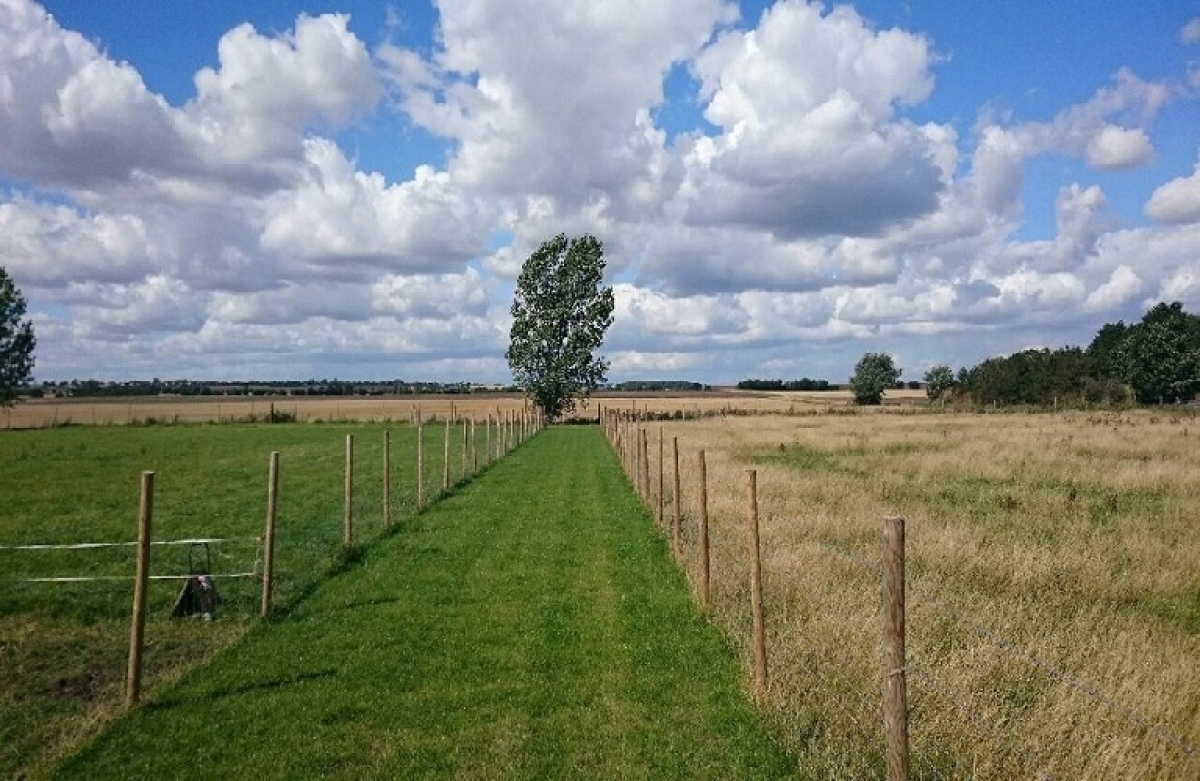Συμβούλιο Γεωργίας και Αλιείας στις 17 Ιανουαρίου 2022