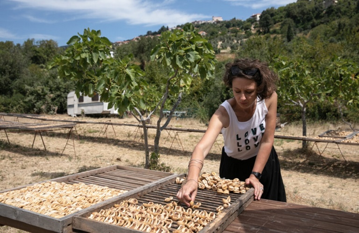 Πρόγραμμα Ενίσχυσης Επιχειρήσεων και Συνεταιρισμών 2022