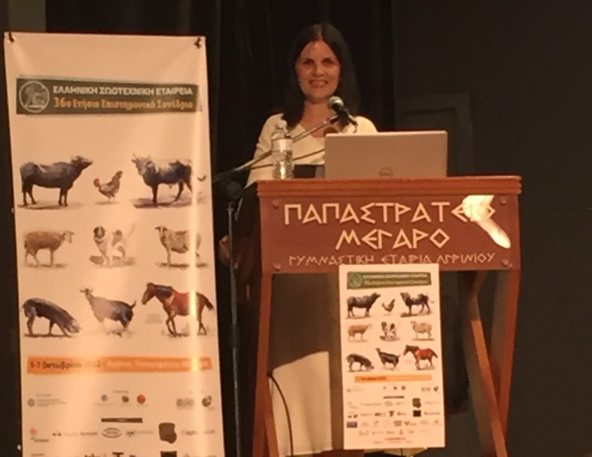 H παραδοσιακή κτηνοτροφία στο Ξηρόμερο της Αιτωλοακαρνανίας