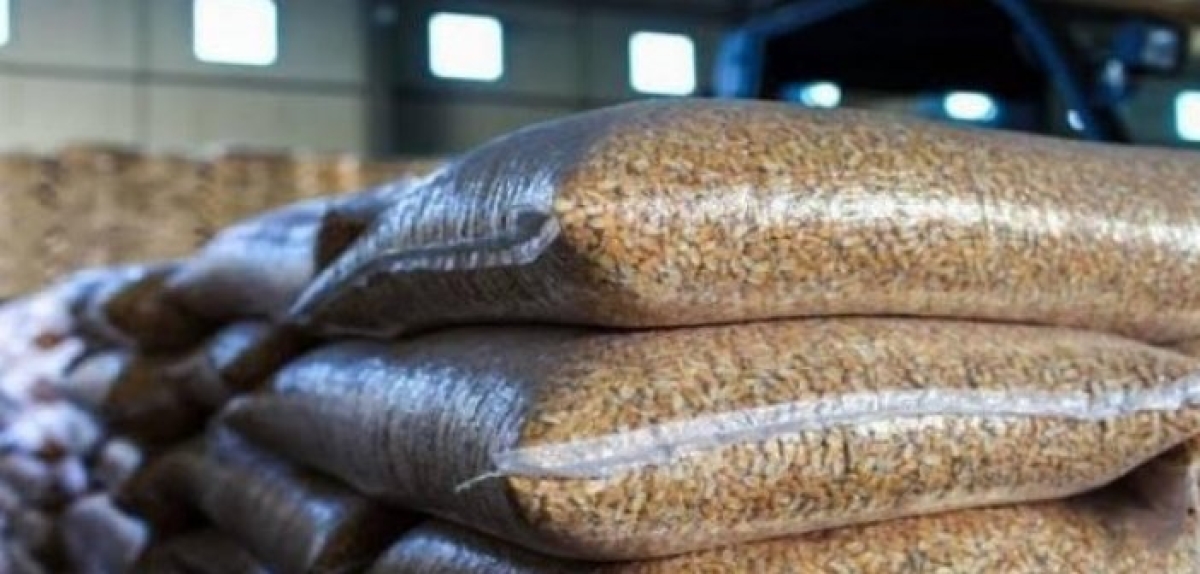 Τα απόνερα της Ουκρανίας στην κτηνοτροφία – 35% πάνω οι ζωοτροφές