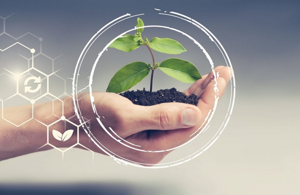 Ψηφιακές τεχνολογίες στην υπηρεσία των αγροτών