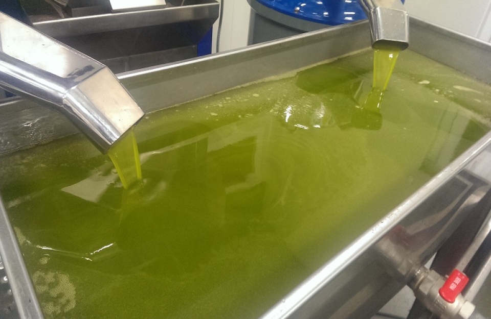 Συνεχίζονται μέχρι 27/11 οι αιτήσεις για την ενίσχυση στο ελαιόλαδο