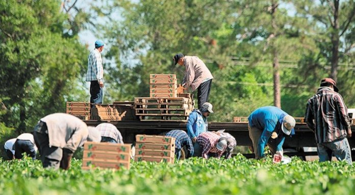 Ακόμη 2.200 εργάτες γης από τρίτες χώρες στη Δυτική Ελλάδα