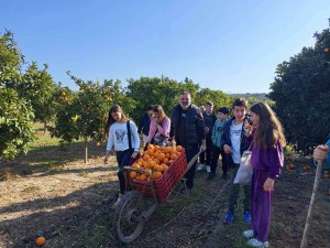 Ξεχωριστή μέρα σε πορτοκαλεώνα για μαθητές από το Μεσολόγγι