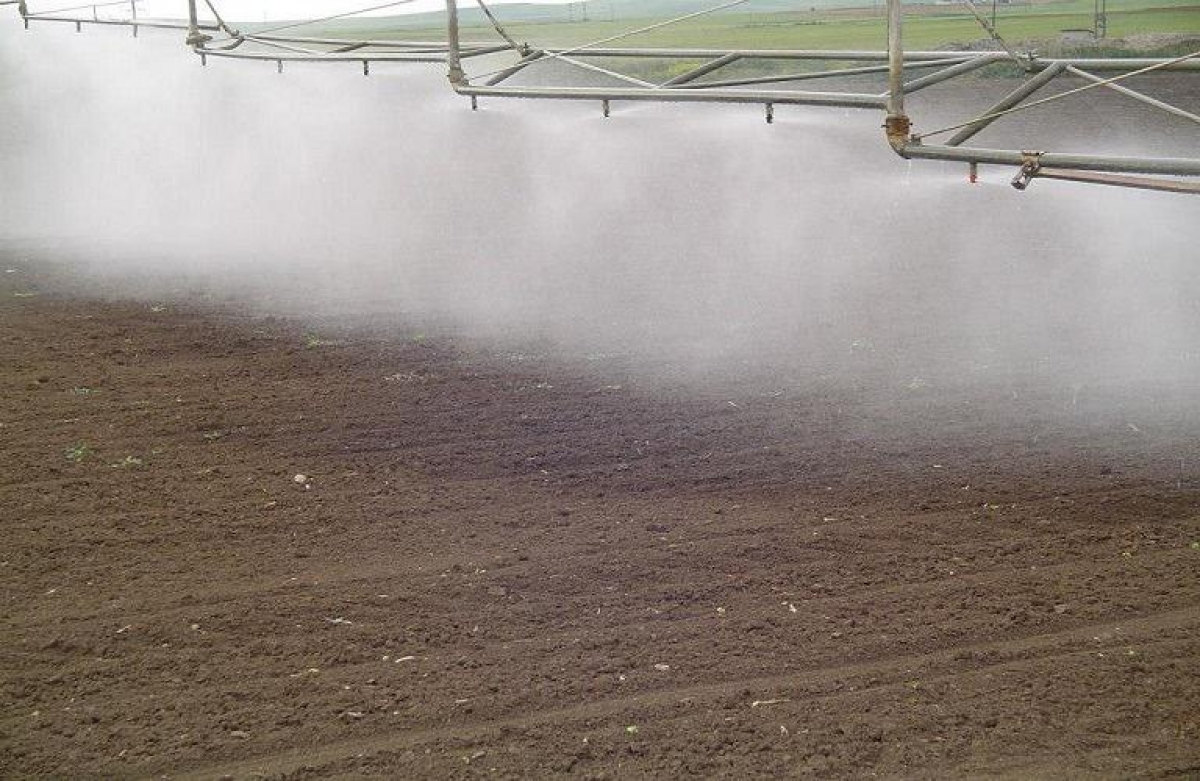 Σωστή εφαρμογή των προϊόντων φυτοπροστασίας