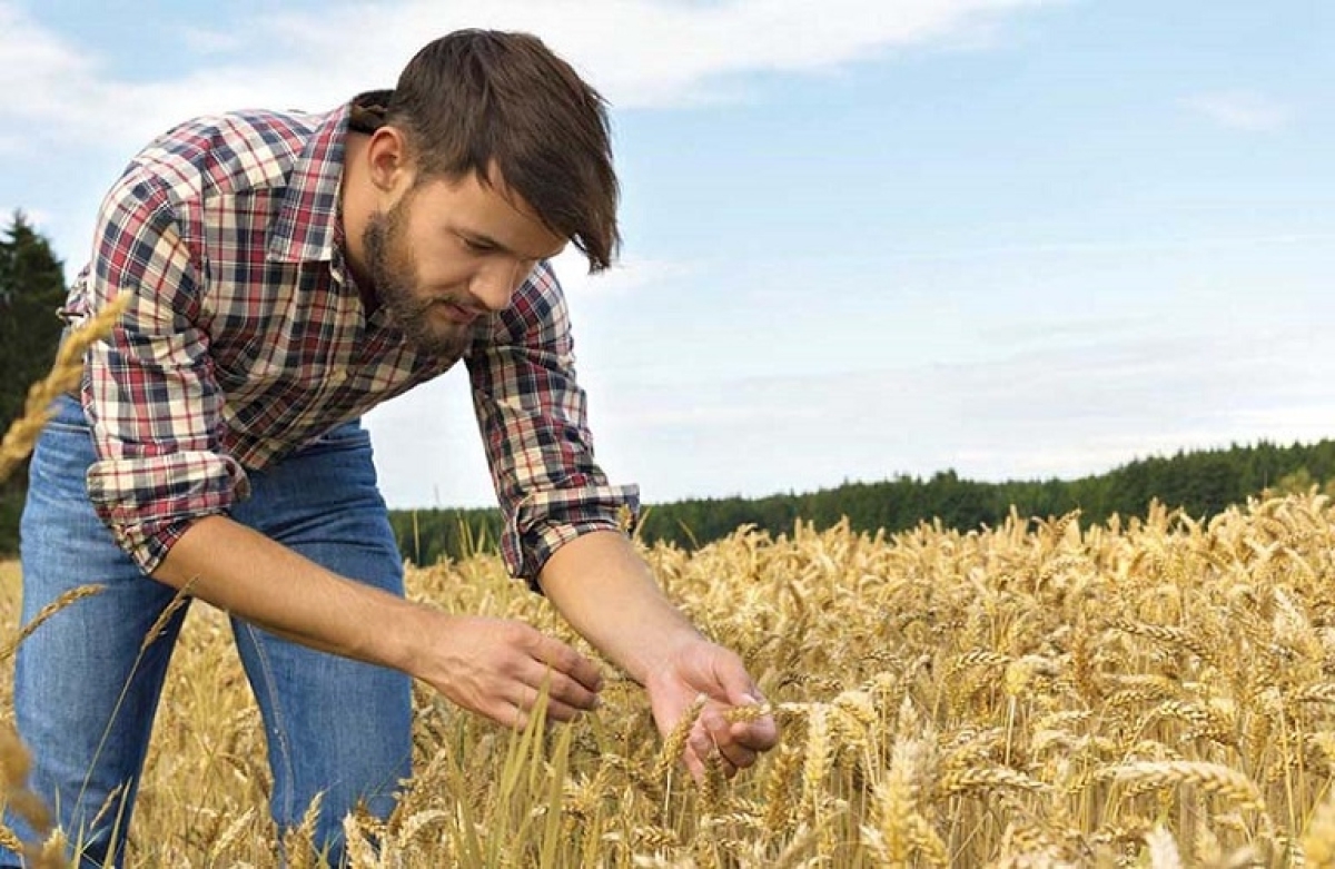 Εγκρίθηκαν οι πιστώσεις για την καταβολή ενισχύσεων ύψους 223,3 εκατομμυρίων ευρώ για το πρόγραμμα Νέων Γεωργών