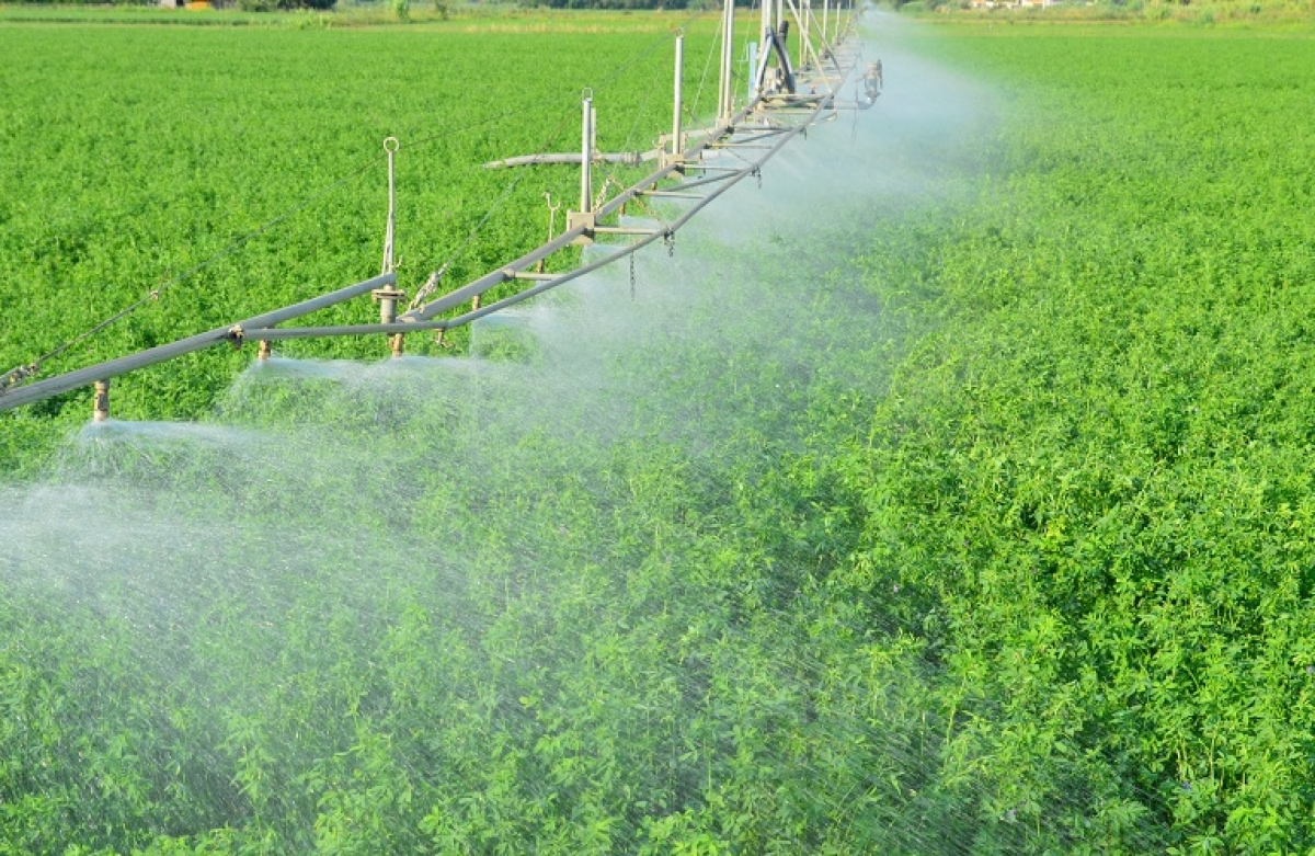 Μέσα Μαΐου οι αιτήσεις για τα αρδευτικά σχέδια
