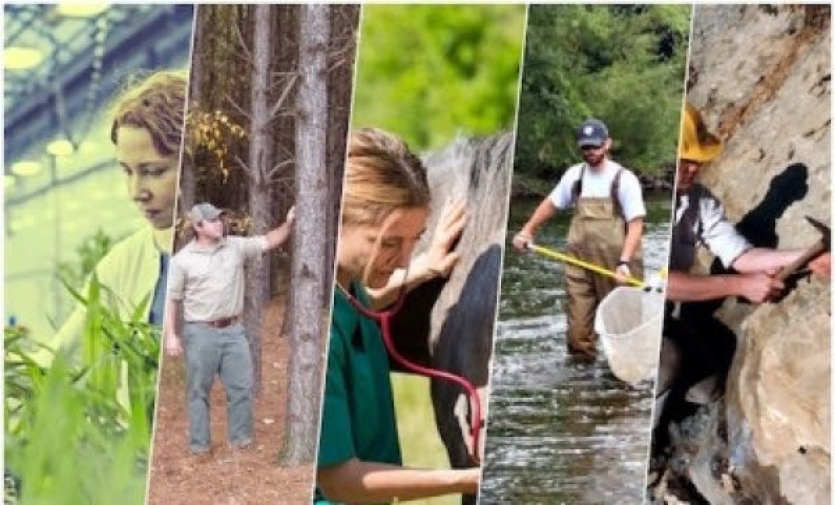 Η Π.Ε.Π.Τ.Ε.Γ. για τον αποκλεισμό των Πτυχιούχων Γεωτεχνικών Τ.Ε. από το Μητρώο Επιβλεπόντων Εξωτερικών Συνεργατών της ΜΟΔ Α.Ε.