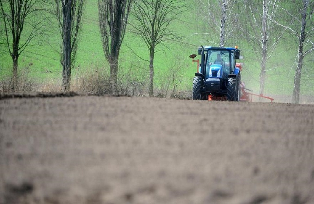 Αναδιάρθρωση των Καλλιεργειών: ολοκληρώθηκε η μελέτη - από 31 Οκτωβρίου οι αιτήσεις