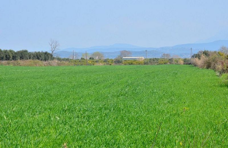 Δείκτες τιμών εισροών και εκροών στη γεωργία – κτηνοτροφία: Ιούνιος 2020