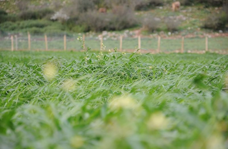 Γεωργικοί Σύμβουλοι: μια ακόμα ευκαιρία