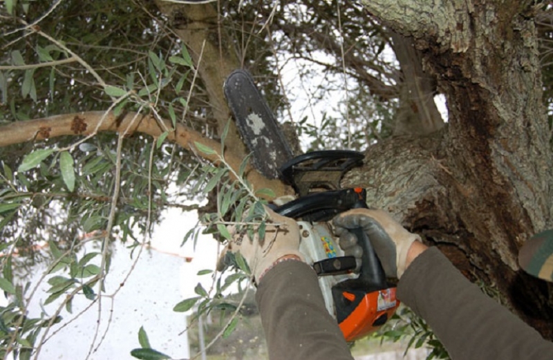 Αγροτικά Ατυχήματα: τι πρέπει να προσέχουμε