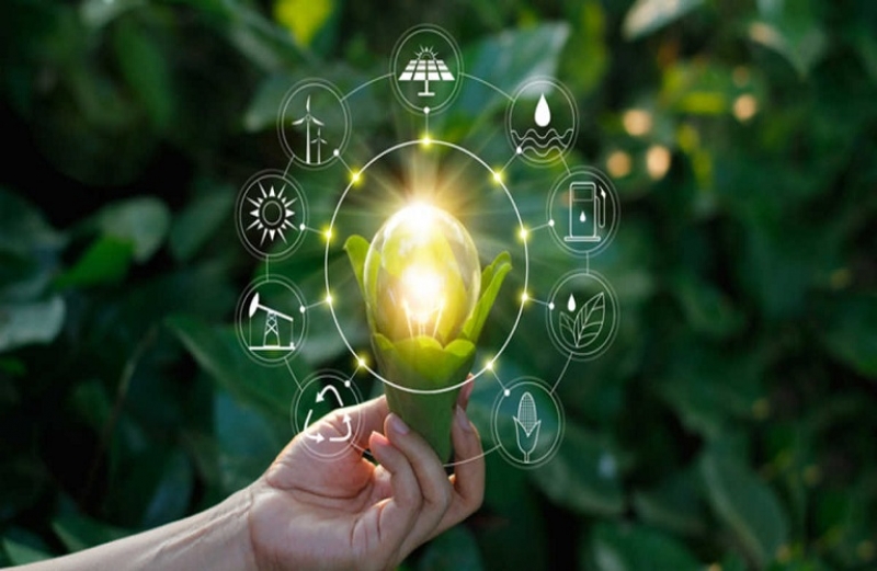 Μεταβατικός Μηχανισμός Αποζημίωσης Ευελιξίας