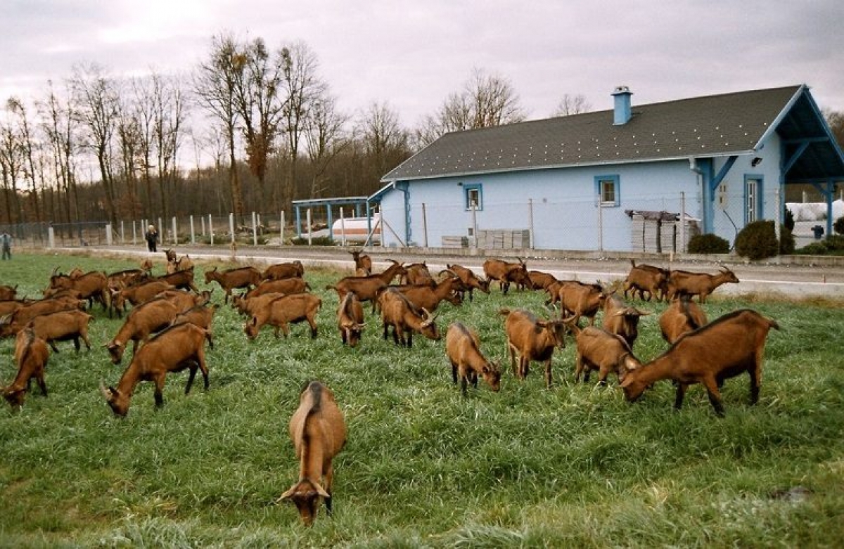 Συμβουλευτικό σύστημα αγροκτημάτων