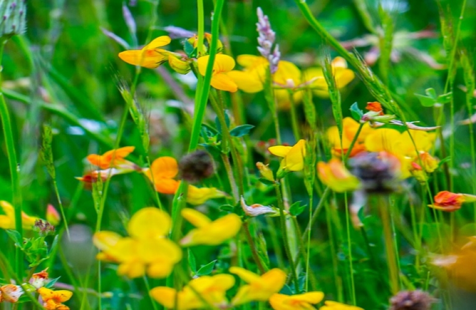 Ξεκίνησαν οι αιτήσεις για τα &quot;συστήματα ποιότητας&quot;