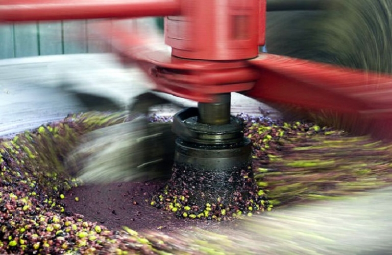 Παραγωγή ελαιολάδου - Ορθές πρακτικές