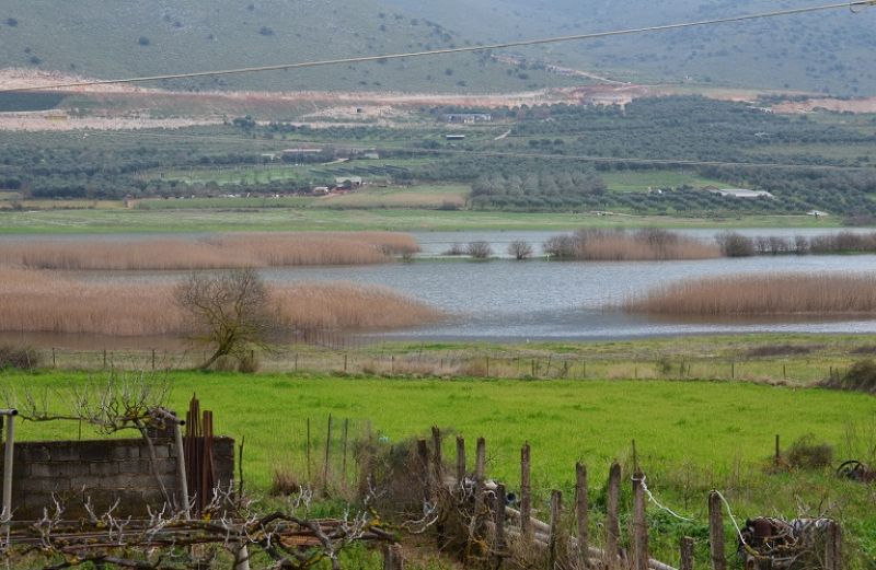 «Δράση: Το μόνο εμβόλιο για την κλιματική αλλαγή»
