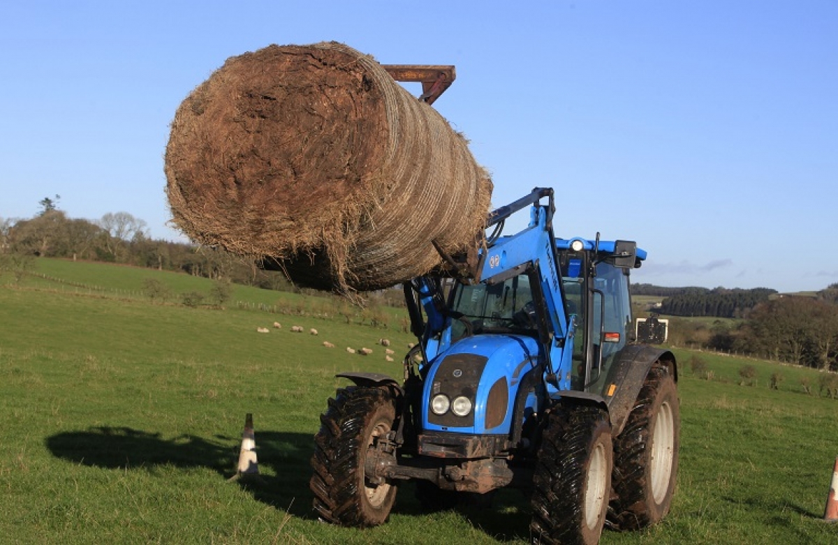 Σχέδια Βελτίωσης: 250 εκ. ευρώ στη μεταβατική περίοδο 2021-22