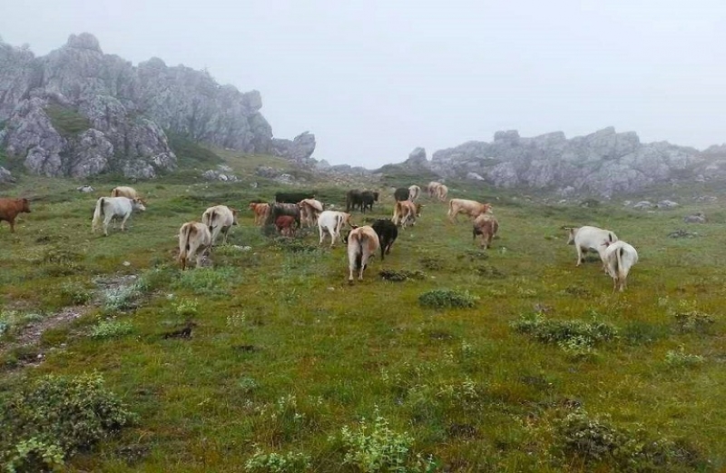 Η ώρα του εισαγγελέα