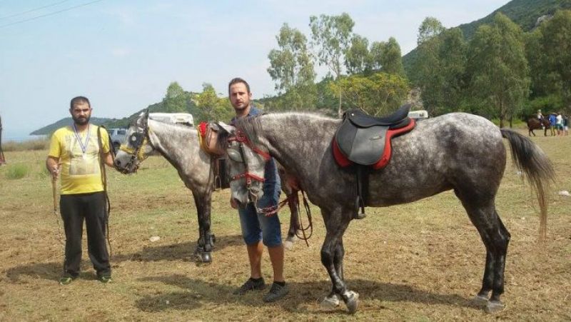 Έκθεση αλόγων και ιππικοί αγώνες στη παραλία Σάλτινη Βόνιτσας (Σ/Κ 9-10/9/2017)