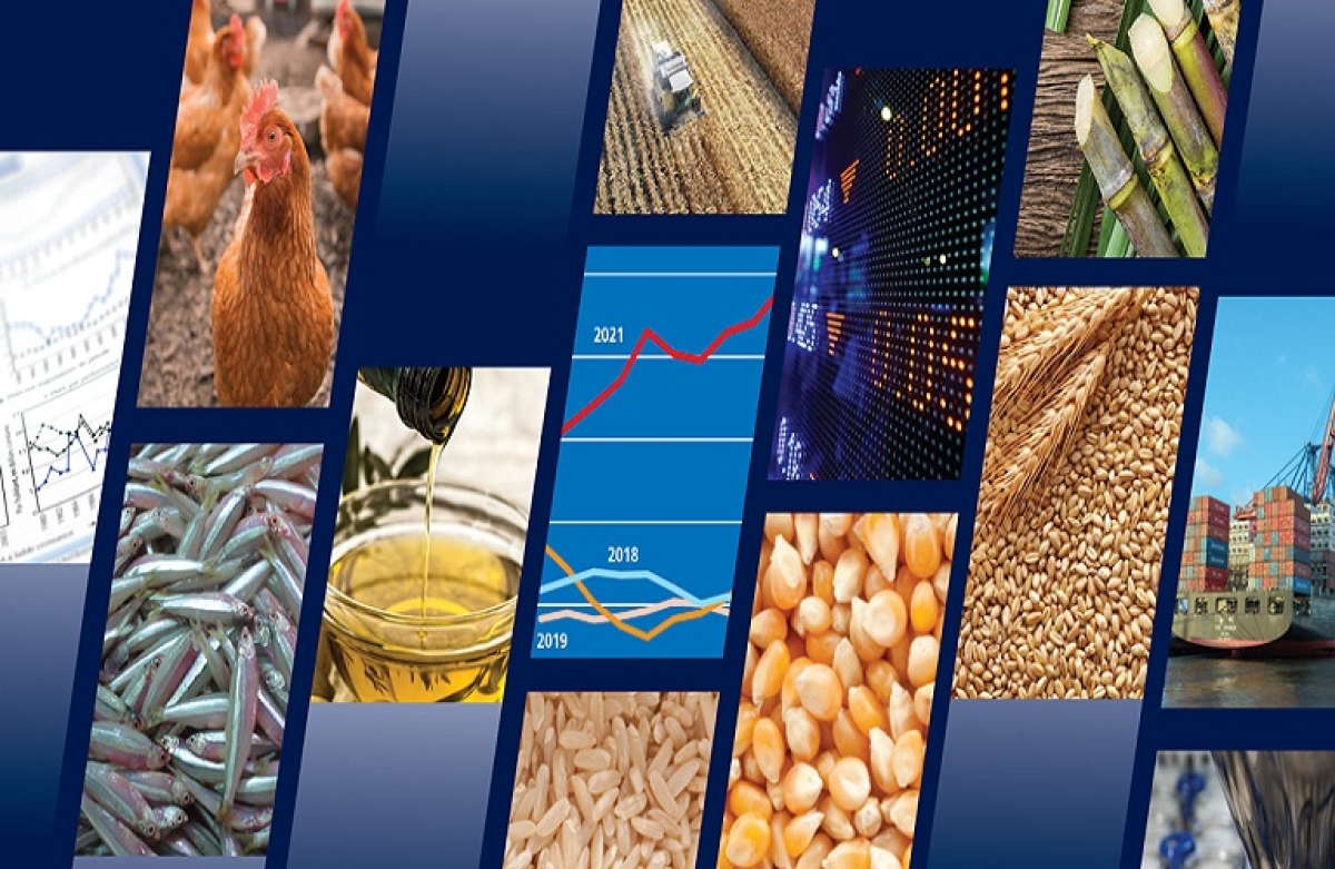 Νέα μεγάλη άνοδος 36,6% των ελληνικών εξαγωγών τον Οκτώβριο