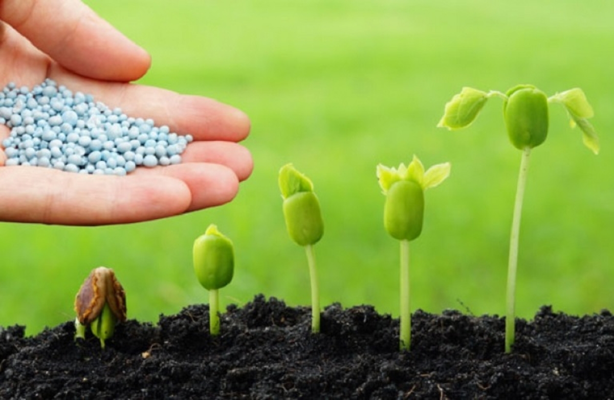 Ξεκινούν οι αιτήσεις για την ενίσχυση στα λιπάσματα