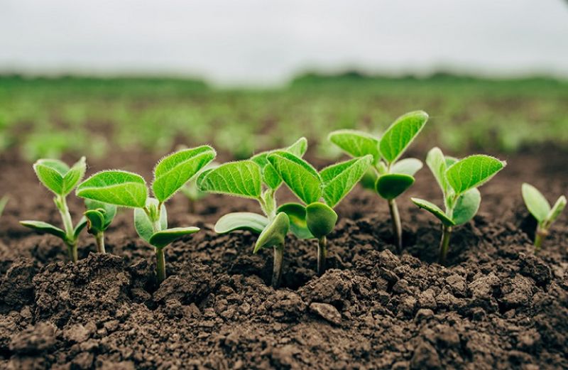 5,2 εκατ. ευρώ 375 δικαιούχους