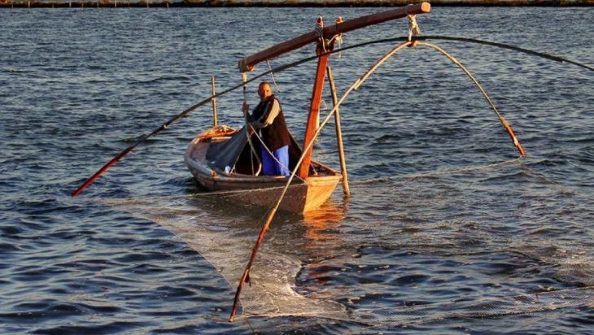 Το σταφνοκάρι και το Αιτωλικό στο… Ηράκλειο Κρήτης