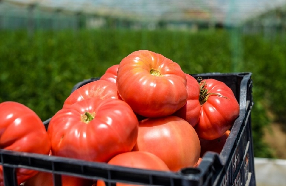 Η Συμφωνία εμπορίου και συνεργασίας ΕΕ-Ηνωμένου Βασιλείου