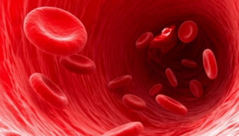 Αιματοκρίτης: Οι φυσιολογικές τιμές ανά ηλικία – Τι να τρώτε για ν’ ανέβει