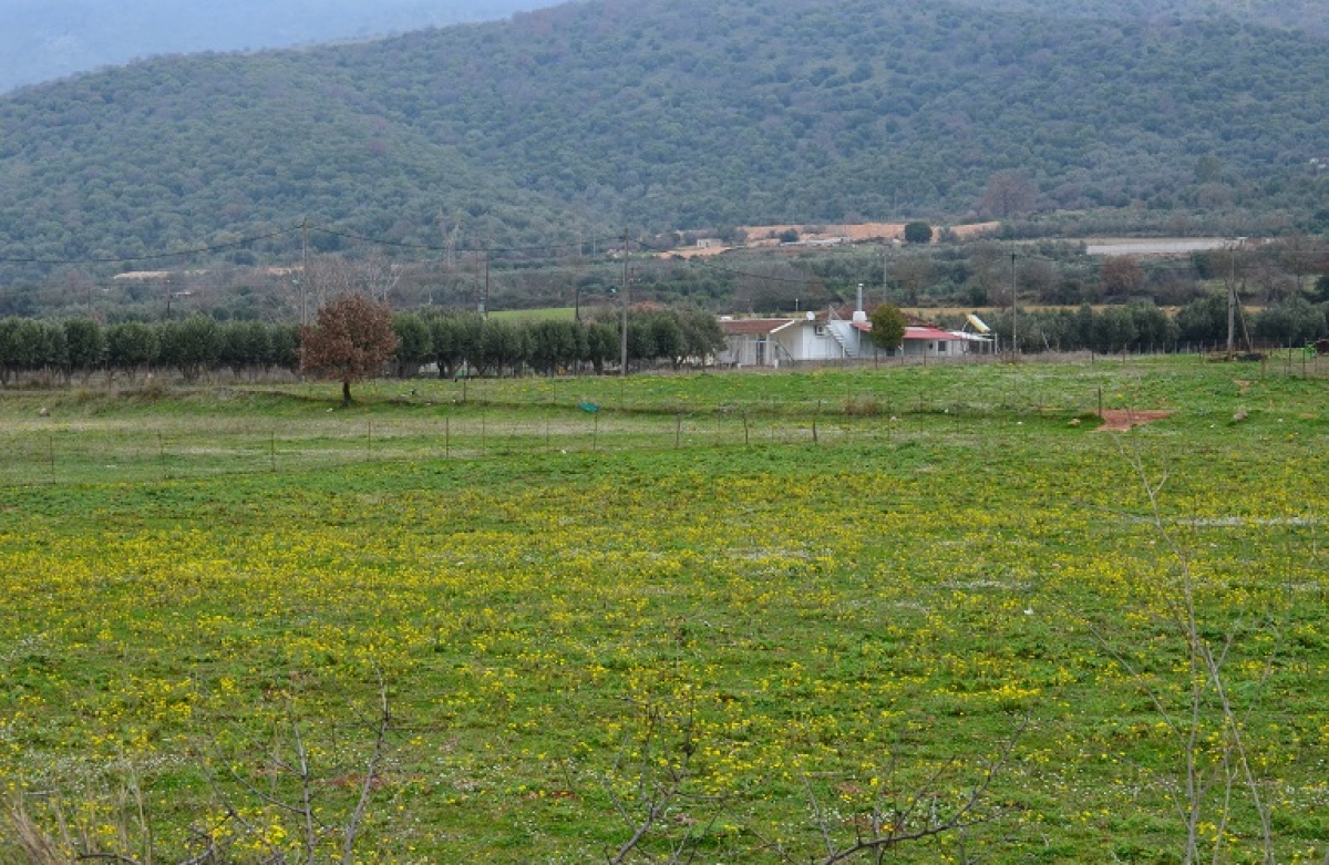 ΚΑΠ και πράσινη ανάκαμψη στις προτεραιότητες της ΕΕ