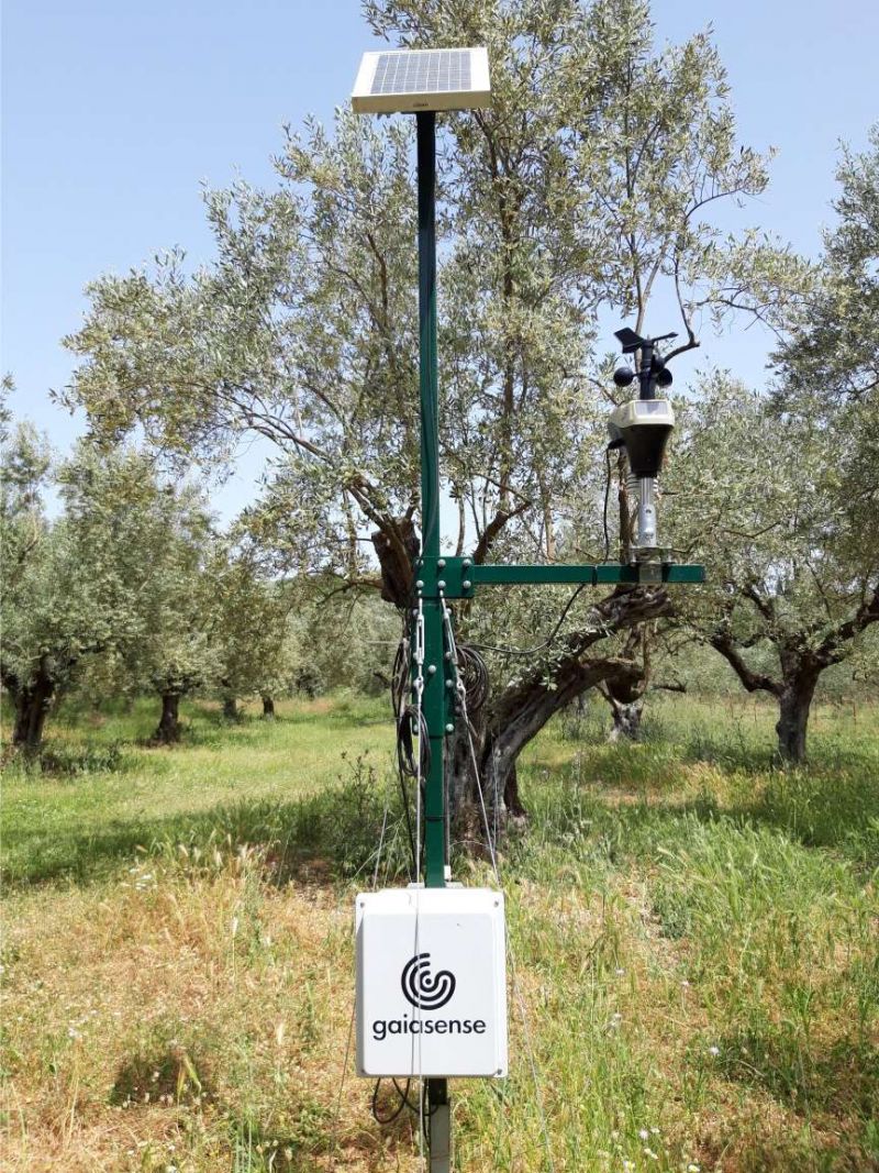 SmartOliveGrove: Η ευφυής γεωργία θεμέλιο για ανταγωνιστικότερη ελιά Καλαμών στην Αιτωλοακαρνανία