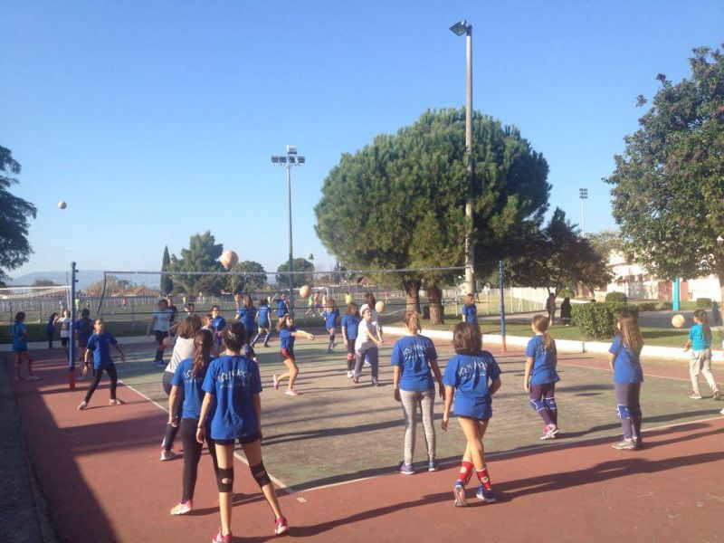 ΘΕΣ VOLLEY ?...‘’ΠΑΣ’’…ΙΩΝΙΚΟ