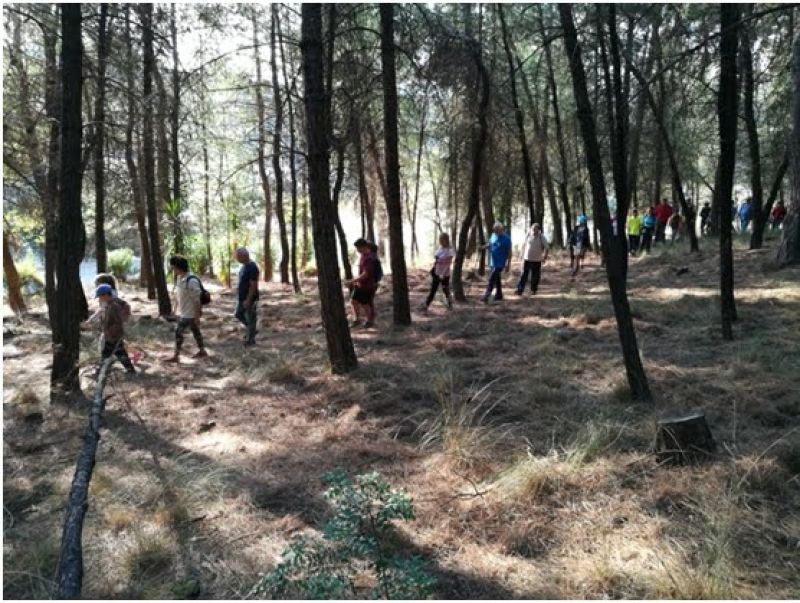 Περπατήστε με τον Ορειβατικό Σύλλογο Αγρινίου (Κυρ 4/11/2018)