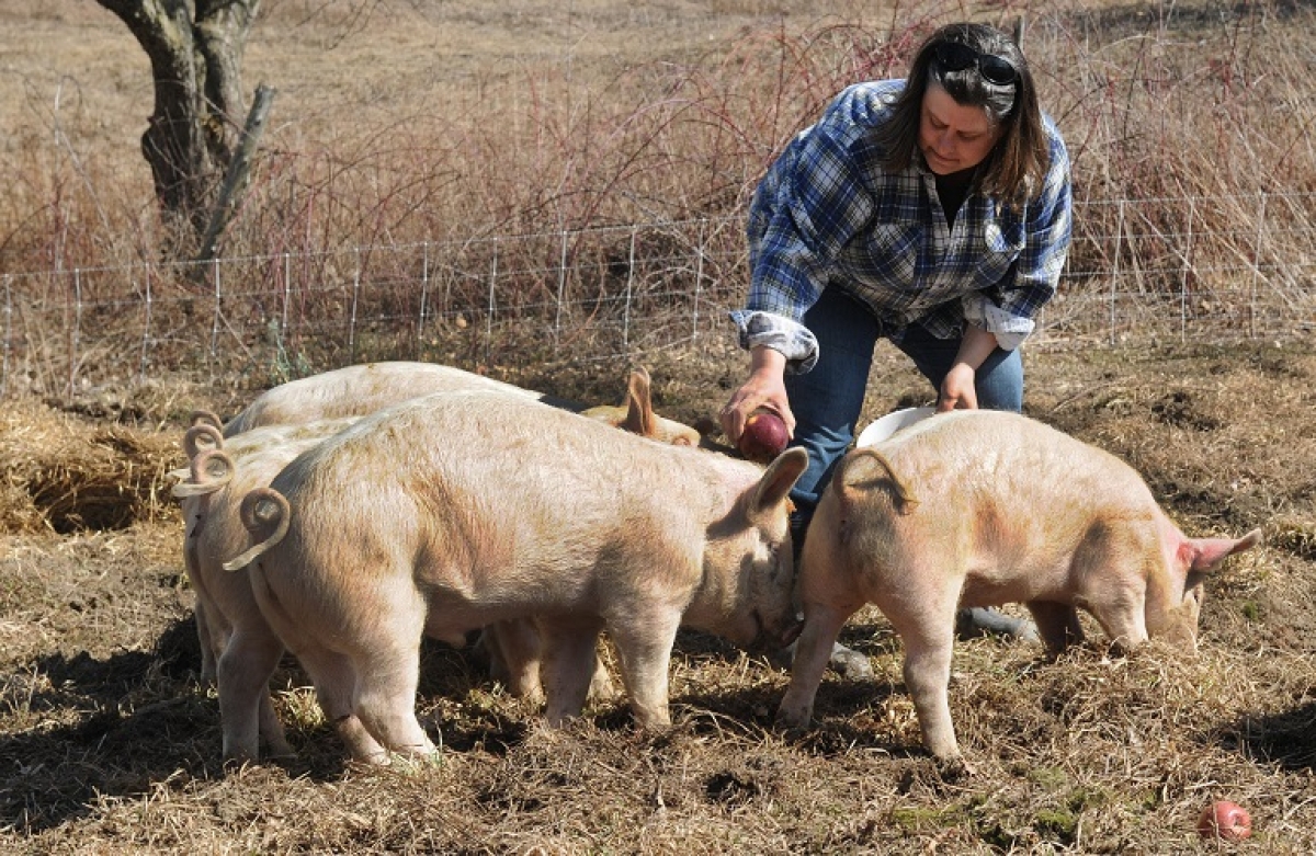 Καταβάλλεται το χρηματικό βοήθημα σε τρίτεκνες και πολύτεκνες αγρότισσες