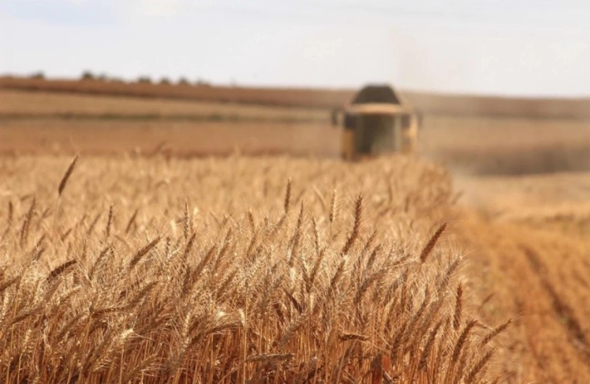 Αγρότες με οφειλές σε Ταμεία μένουν χωρίς περίθαλψη από 1 Μαρτίου