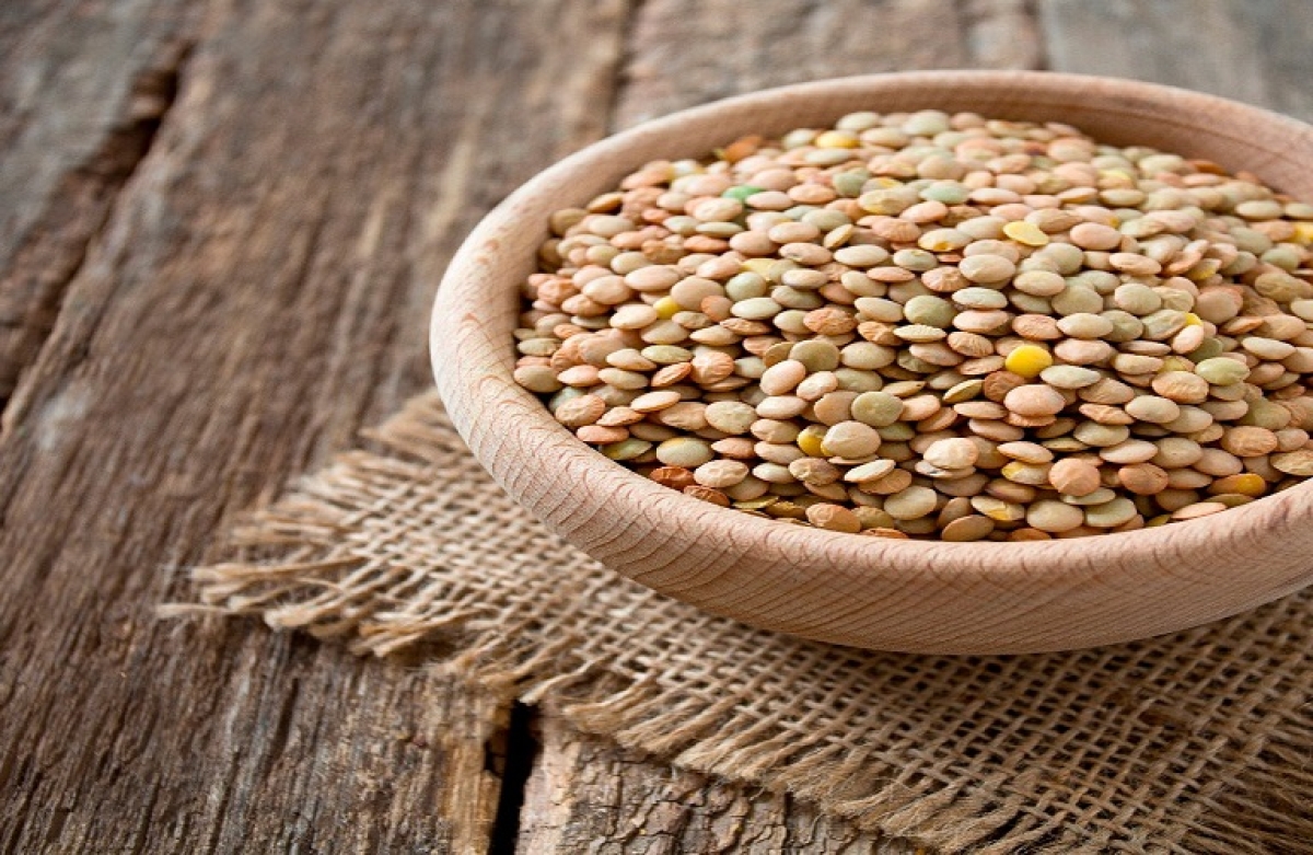 Ελληνικές ποικιλίες φακής