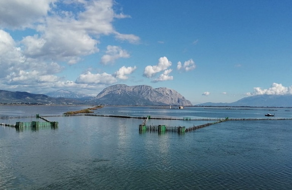 Παράταση στο Επιχειρησιακό πρόγραμμα Αλιείας &amp; Θάλασσας 2014-2020