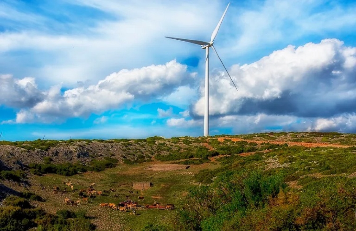 Nέα Έρευνα: τα συμμετοχικά έργα ανανεώσιμης ενέργειας είναι το μέλλον!