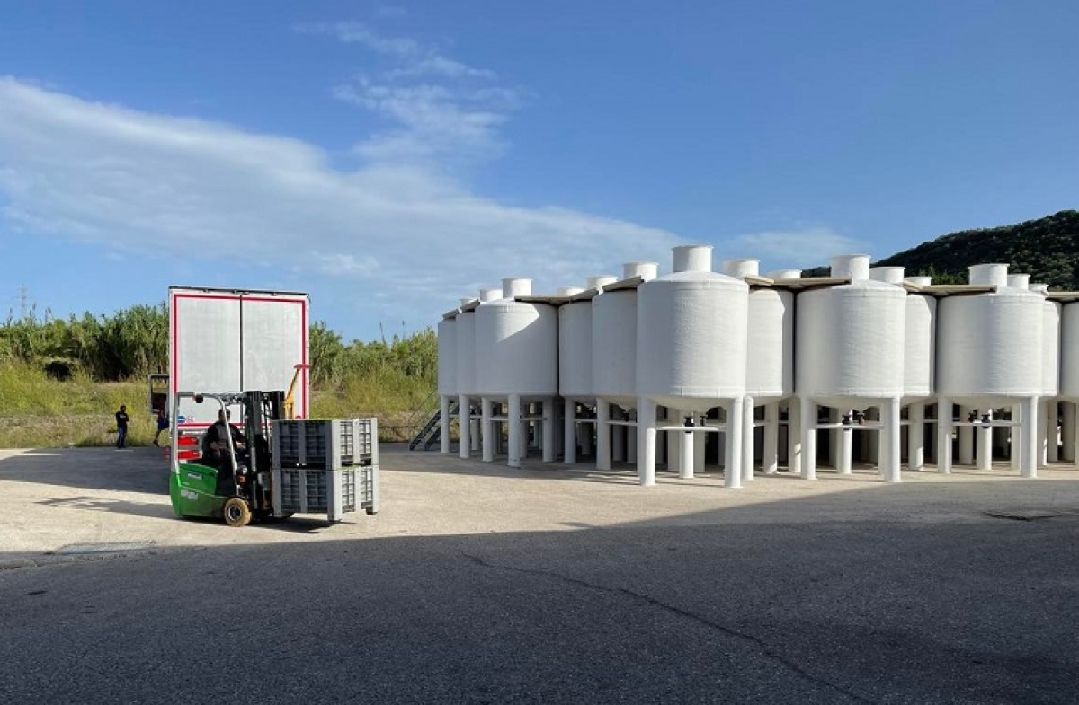 Οι «πρωταγωνιστές» των ελληνικών εξαγωγών