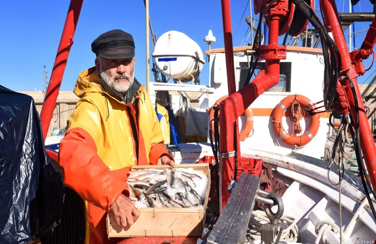 Εγκρίθηκαν τα έκτακτα μέτρα για αλιεία και υδατοκαλλιέργειες