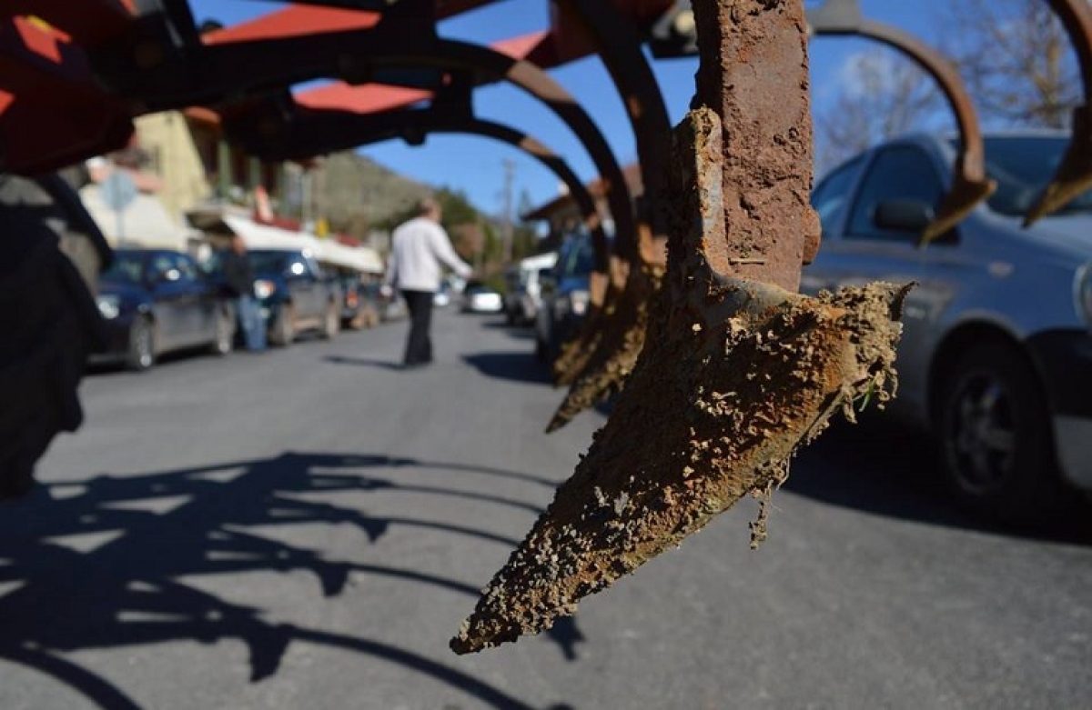 Ενεργός Γεωργός 2022