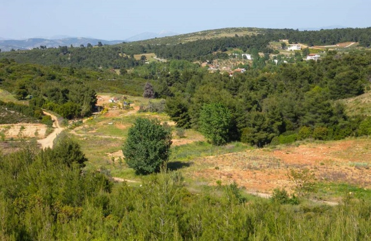 Έρχονται πληρωμές στο Μέτρο 19