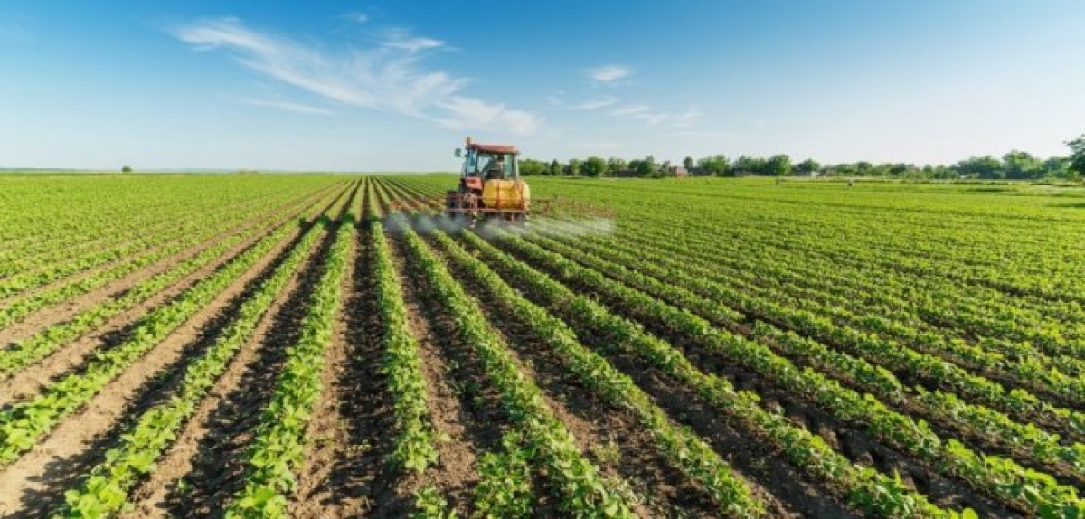 Μεσολόγγι: Ραβασάκια σε χιλιάδες αγρότες για επιστροφή ολόκληρου του ποσού επιστρεπτέας