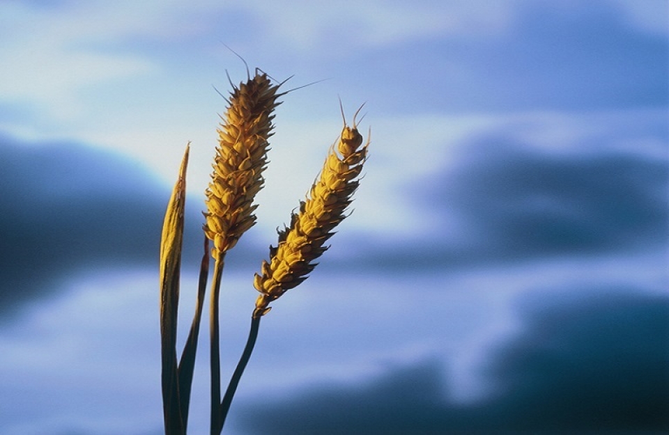 Το νέο Χωροταξικό Πλαίσιο της Περιφέρειας Δ. Ε.